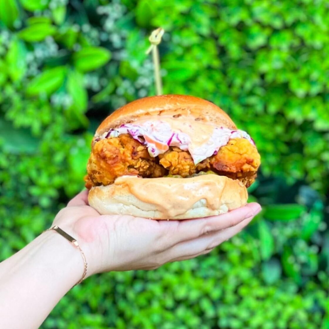 Sándwiches Y Hamburguesas Pollo Coleslaw